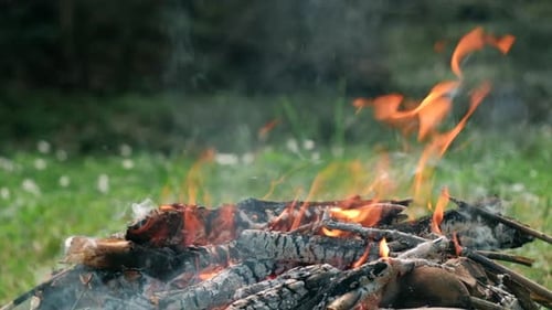 Campfire is burning in nature. Close up of bonfire from old branches on sunny summer or spring day
