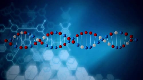 Rotating DNA Double Helix Molecular Structure for Science and Technology