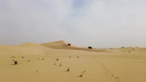 Safari en el desierto en los Emiratos Árabes Unidos
