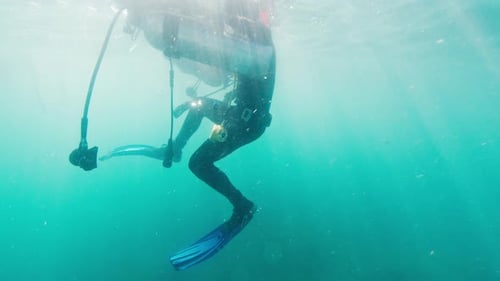 Diving in Brazil Scuba Diver Swims Underwater and Wears Scuba Tank in the Water