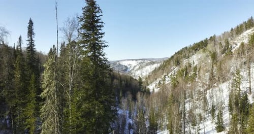 Drone shot of snowy forest and mountains