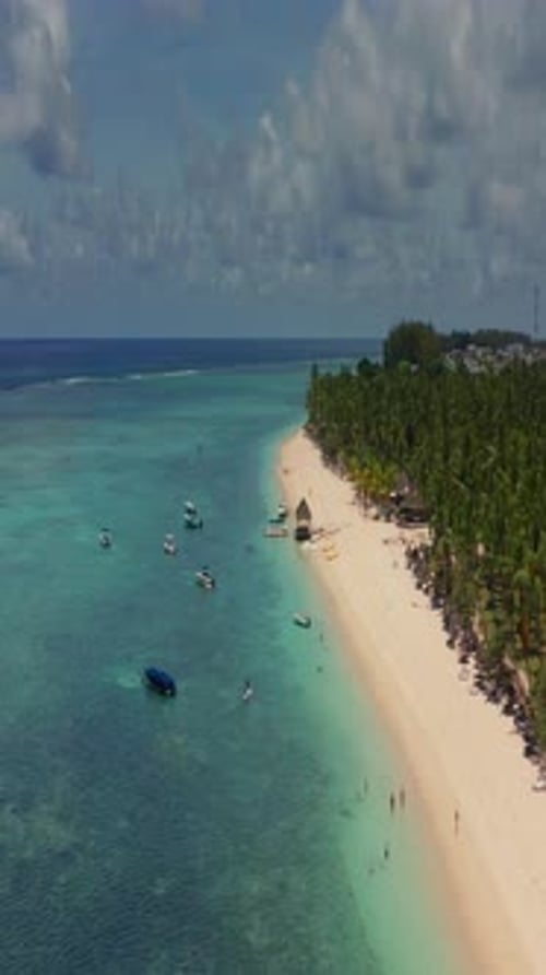 Close Up Fly Over Palm Trees and Beautiful Beach Lagoon Paradise Island in Mauritius Landscape View
