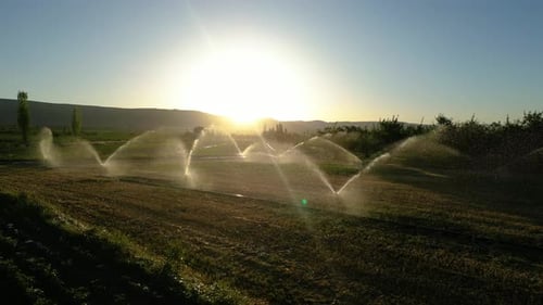 Automatic irrigation systems are used in agricultural fields