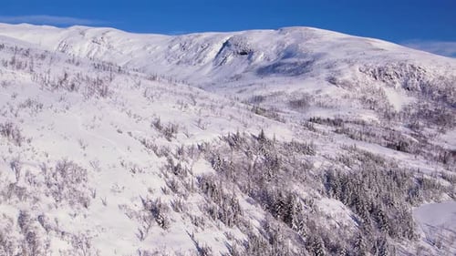 Aerial View of Snowy Mountains and Winter Landscape