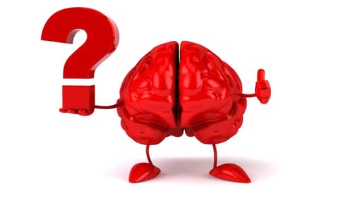 Animated Brain Character Holding Question Mark Gives Thumbs Up