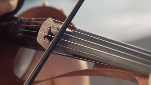 Woman Bowing a Stringed Instrument, Close Up