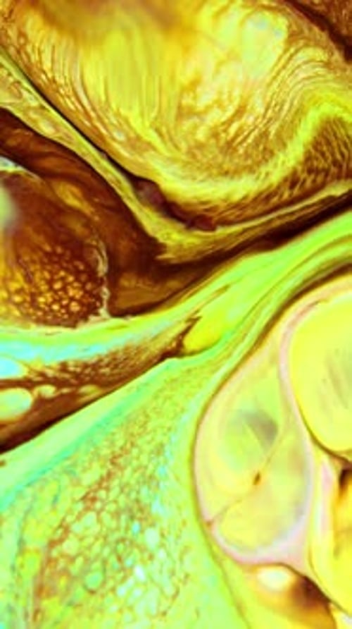 Abstract Fluid Colors Swirling in Mesmerizing Motion