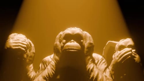 Monkeys Acting 02 Hd