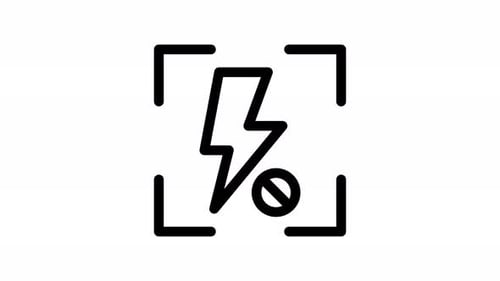 no flash line icon animation