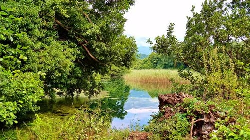 Tranquil pan shot of Sv Naum clear springs in Macedonia of fresh and transparent water.