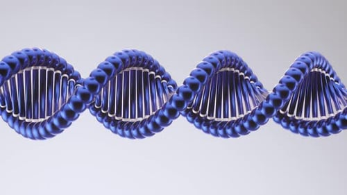 Animated 3D DNA Double Helix Structure Loop