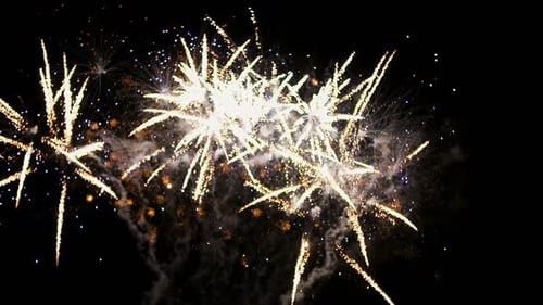 Colorful Fireworks Bursting in the Night Sky