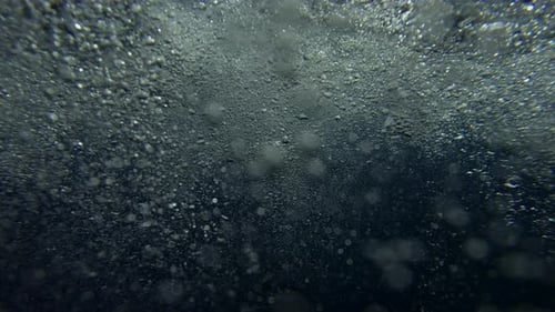 Bubbles Rising in the Blue Ocean