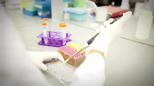 Biochemistry: Scientist Pipetting a Sample into the Wells of a Pipette Tray. 4K.