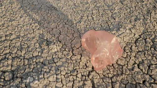 Una bolsa de plástico vuela en tierra seca: desastre ambiental