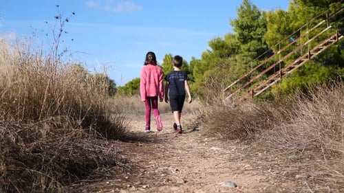 Brother and sister walking together on a dangerous path in the forest. Slow-motion gimbal shot.