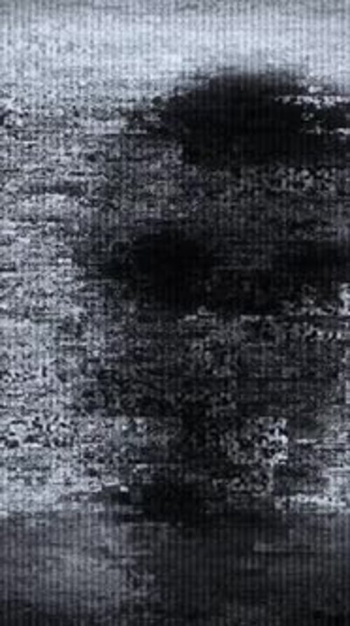 Monochrome TV Noise and Glitch Static with Vertical Signal Interruption