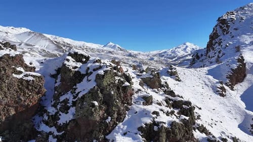 Bergziegen