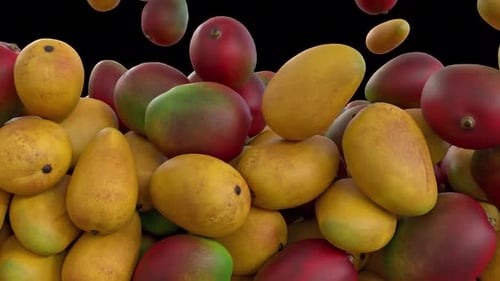 Mango Fall Transition