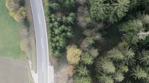 drone flight over forest and road with bird's eye view