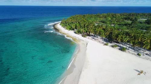 Tropical Vacation Island with Beach Palms and Ocean Aerial Drone View