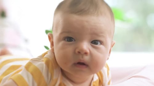 Infant Lying on Stomach Looking at Camera