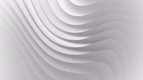 3d animation of white gray curve waves flowing abstract motion background. Seamless loop animation b