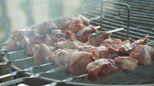 Schweinefleischspieß in Flammen, Hammelgrill, Nahaufnahme, gebratenes Hammelfleisch, Fleisch zum Kebab-Kochen, gegrilltes Fleisch