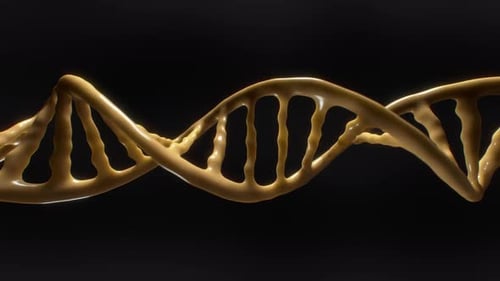 Rotating 3D Golden DNA Double Helix Animation