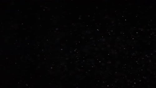 Floating Dust Particles on Black Background