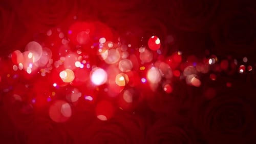 Sparkling Lights on Red Rose Background