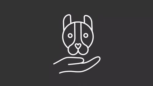 Friendly pet white line animation