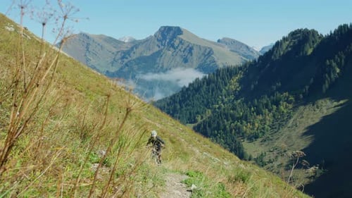A mountain biker is pedalling up an alpine trail in autuumn