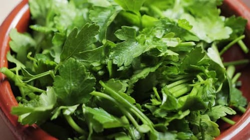 Finely Chopped Fresh Herbs Parsley Dill and Cilantro in a Bowl Ready for Use in Different Dishes