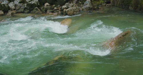 Rapid crystal clear fresh water of mountain river flows among the rocks in rocky gorge