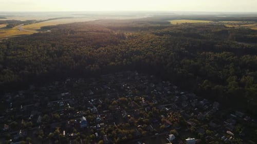 Top View of a Village in a Forest with Modern Buildings and Yards Near an Asphalt Road