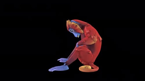 Stylized 3D Monkey Primate Looking Around Animation