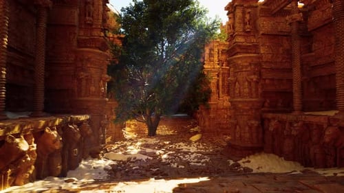 A Tree That is Sitting in the Middle of a Street