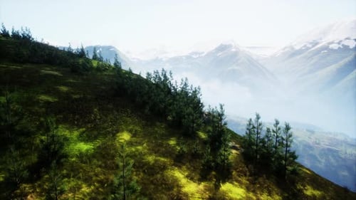Aerial View of Mountain and Trees in the Austrian Alps