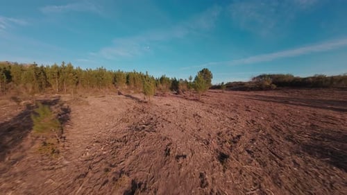 Aerial View Of A Deforested Land And Over A Path Dividing Two Areas