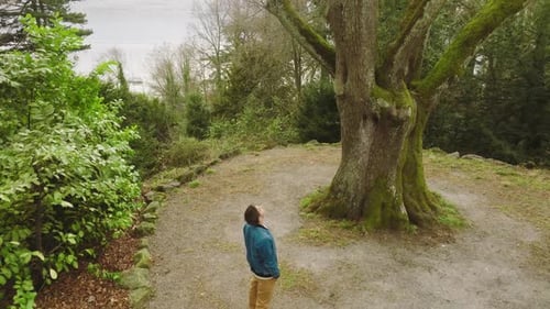 Hombre mirando un árbol