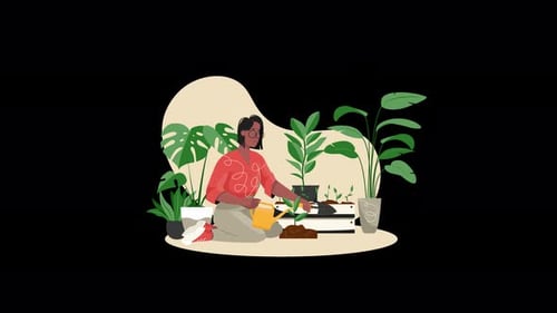 Woman Watering Indoor Plants Flat Design Animation