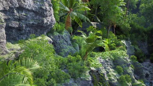 Lush Tropical Landscape with Vibrant Greenery and Rocky Terrain Under Sunlight