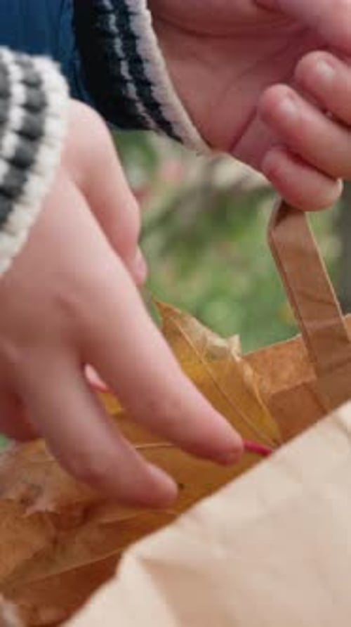 Child Collecting Autumn Leaves in a Brown Paper Bag