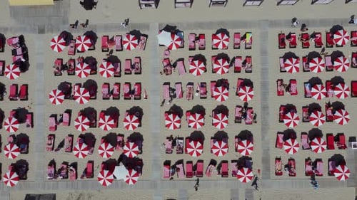 Red Umbrellas In the Beach Aerial