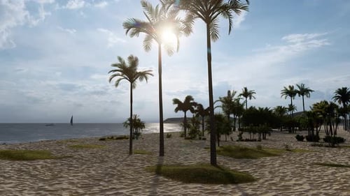 Sunny Beach With Palm Trees Sandy Coastline And Sailing Boats At Sea