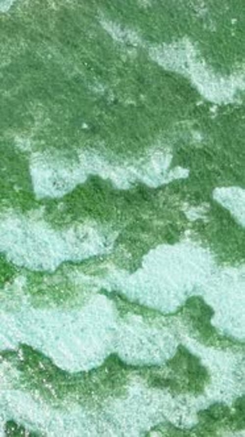 Textured Green and Turquoise Water Patterns Seychelles