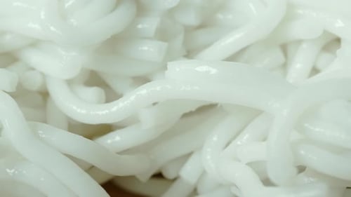 Close Up of White Noodles Filling the Frame