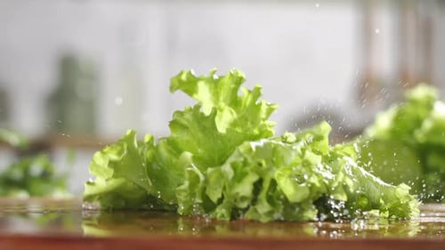 Slow motion of fresh green lettuce falling on wet wooden board in a kitchen