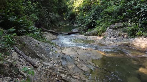 drone flight close to a riverbed in a cloudy forest